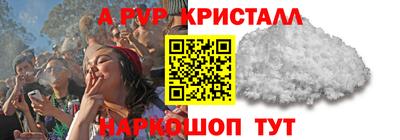 эйфоретик Кингисепп