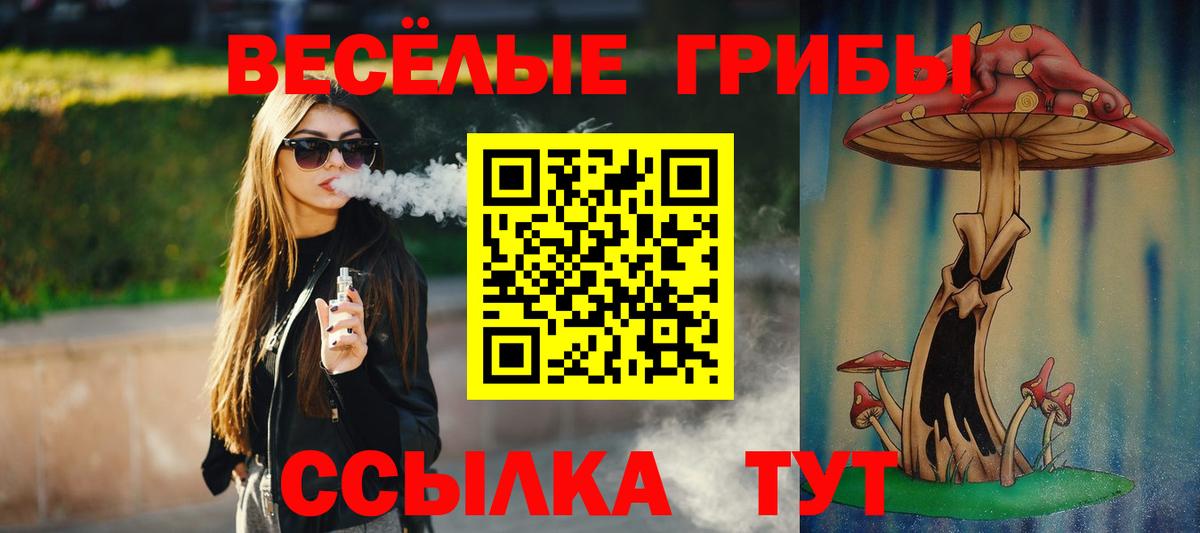 Галлюциногенные грибы GOLDEN TEACHER  Псилоцибиновые грибы MAGIC MUSHROOMS  Вход с VPN  Дмитров 